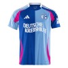 Officiële Voetbalshirt Schalke 04 Special 2024-25 - Heren